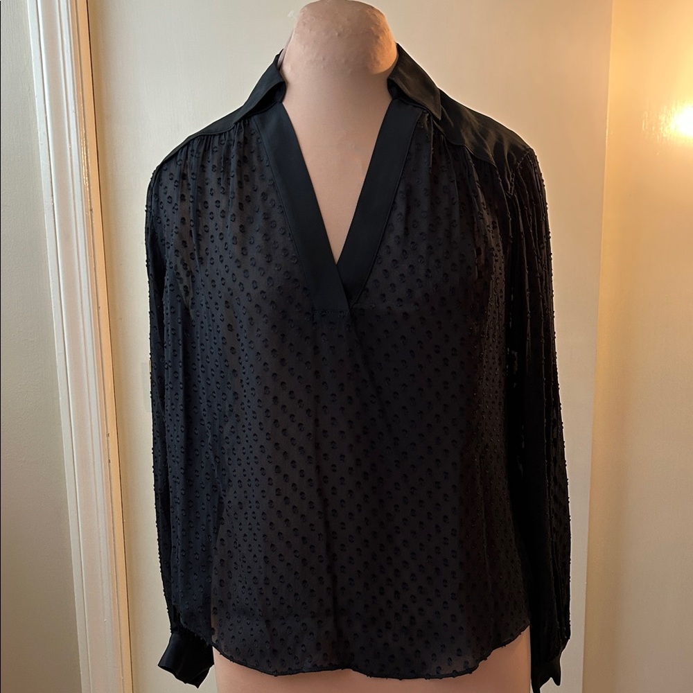 Madewell Black Sheer Dot V-Neck Blouse Sz S